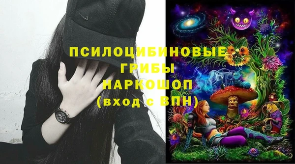сатива Абаза