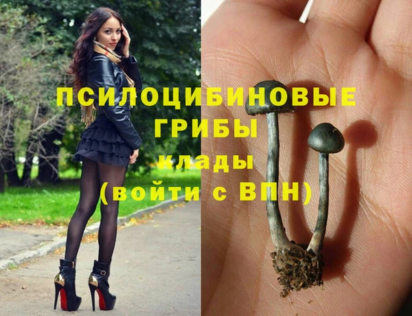 сатива Абаза