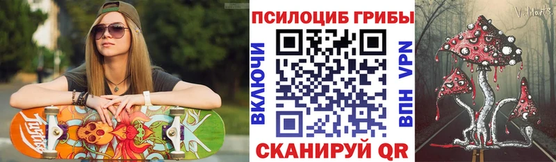 купить   Калининград  Псилоцибиновые грибы мицелий 
